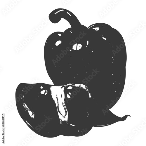 Bell Pepper or Paprika sliced full with engraving sketch style