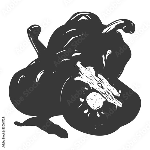 Bell Pepper or Paprika sliced full with engraving sketch style