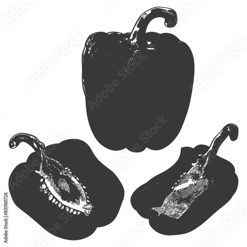 Bell Pepper or Paprika sliced full with old engraving sketch style