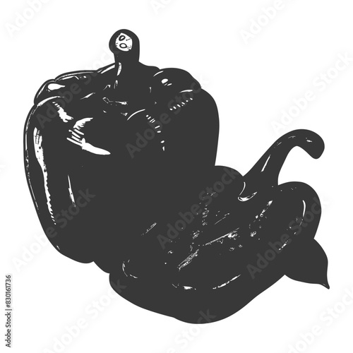 Bell Pepper or Paprika sliced full with old engraving sketch style