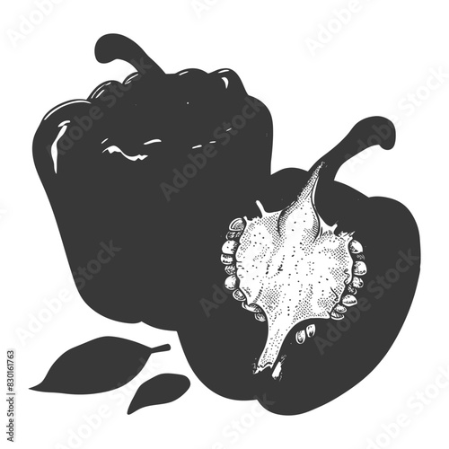 Bell Pepper or Paprika sliced full with old engraving sketch style