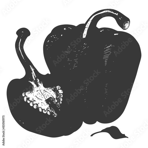Bell Pepper or Paprika sliced full with old engraving sketch style