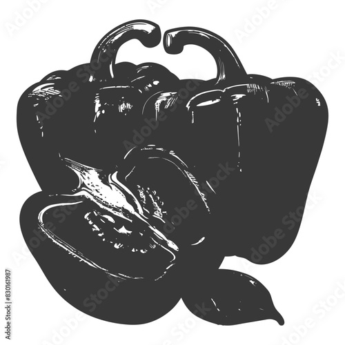 Bell Pepper or Paprika sliced full with old engraving sketch style