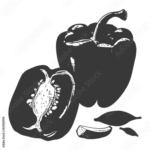 Bell Pepper or Paprika sliced full with old engraving sketch style