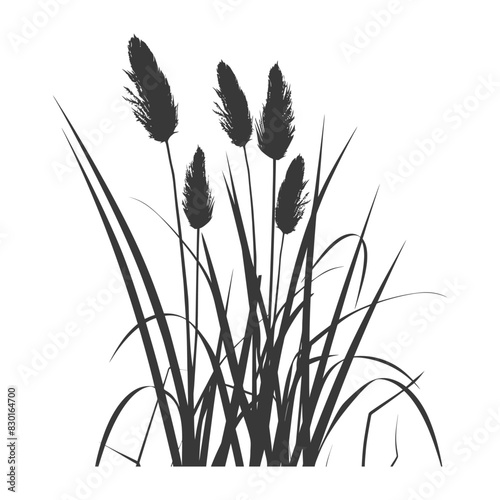 Silhouette black water reed plan cattails leaf black color only