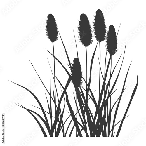 Silhouette black water reed plan cattails leaf black color only