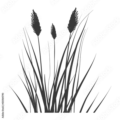Silhouette black water reed plan cattails leaf black color only