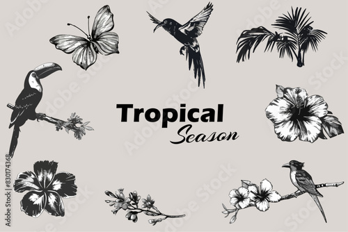 Tropical flowers, birds and leaves photocopy effect  set with grunge stippling grain messy texture. Pop art style dotted elements. Trendy y2k aesthetic vector illustration for poste, banner,  t shirt