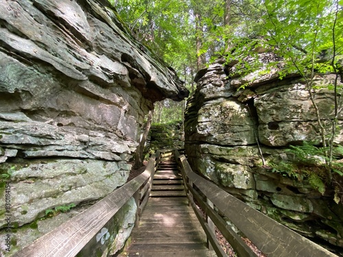 фотографія Beartown State Park - Pocahontas County, WV