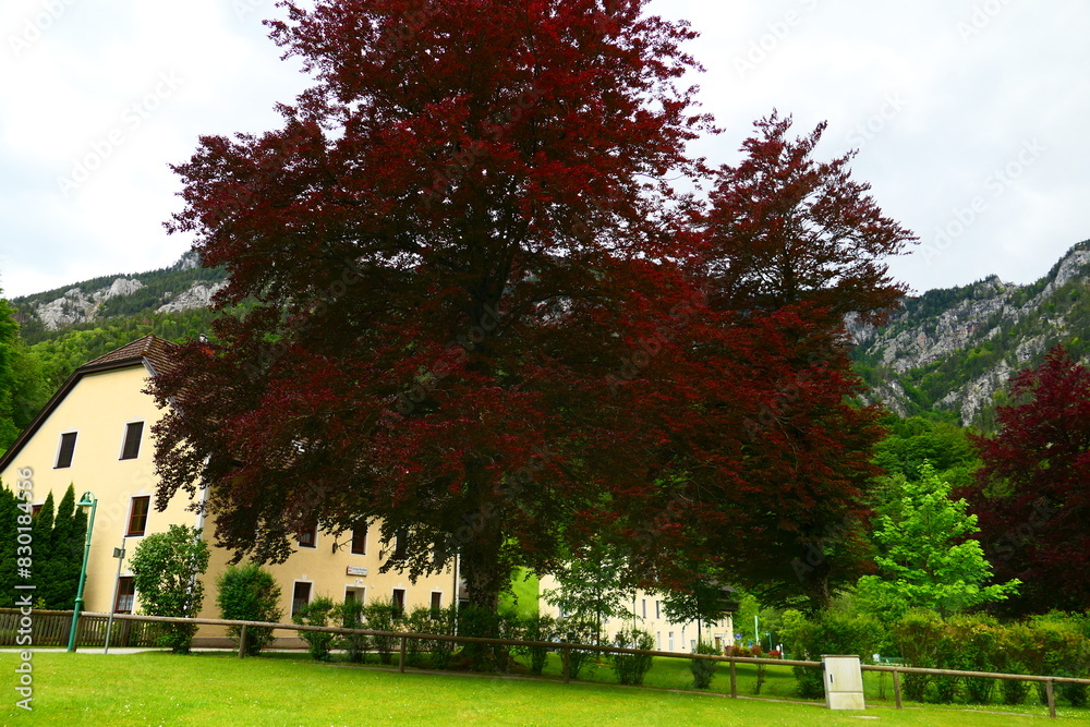 Kaiserbrunn im Höllental Kaiserbrunn im Höllental