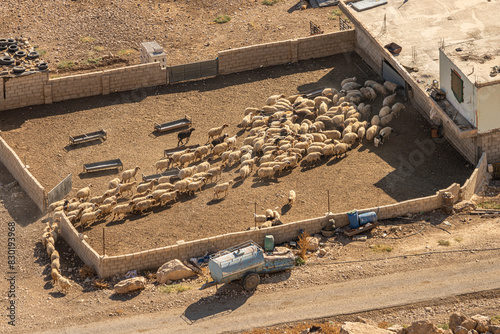Tableau sur toile Aerial View of a Sheep Pen in Rural Jordan: Traditional Farming and Rustic Charm