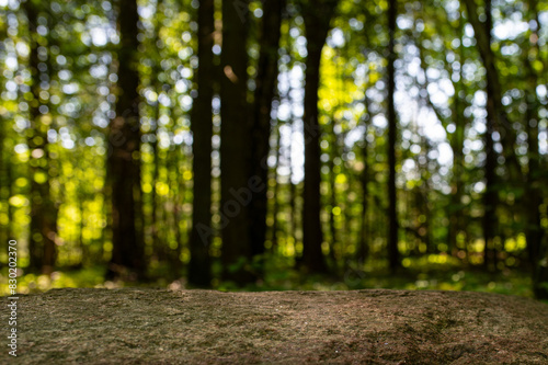 Wood podium floor in outdoors tropical garden forest blurred green leaf plant nature background. Natural product placement pedestal stand display,jungle paradise concept. photo