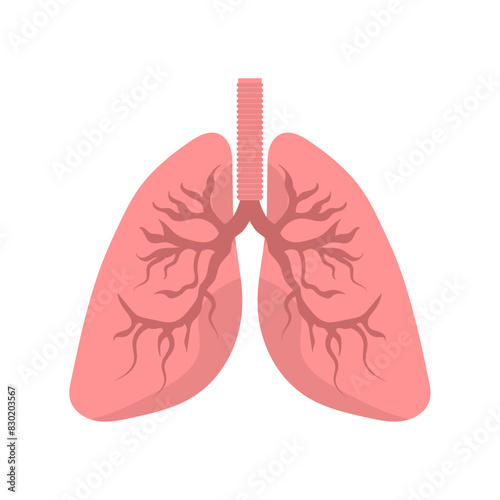Healthy lungs