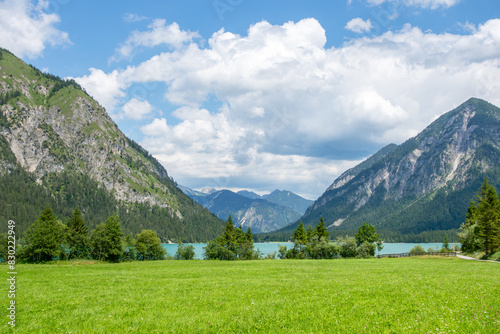 alpine meadow in the mountains