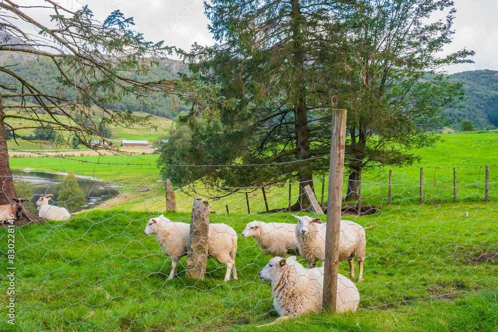 Landscape at the south of Norway (near Stavanger)