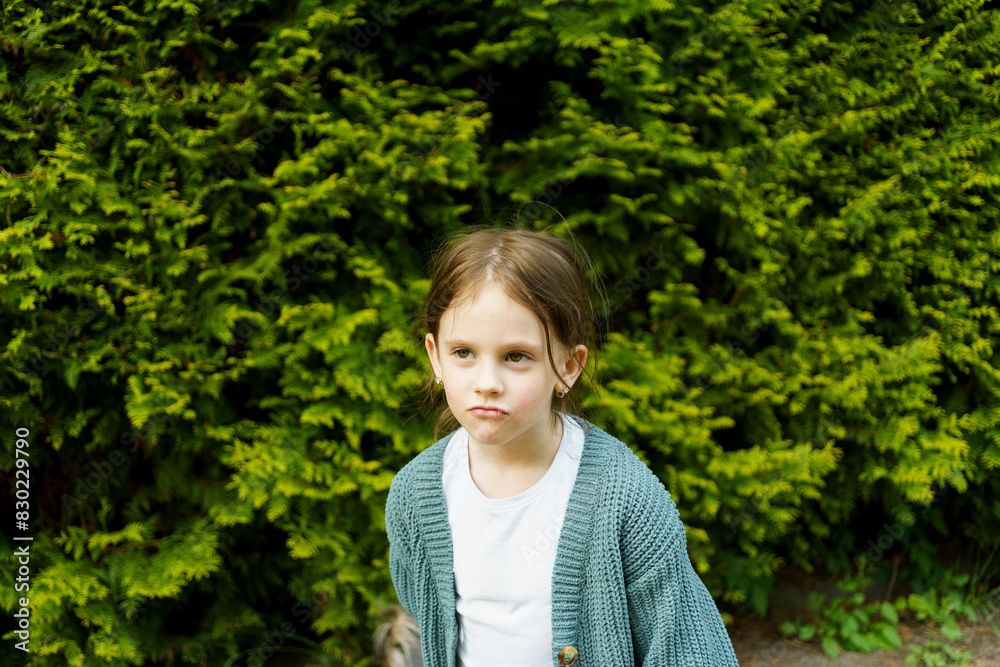 A little beautiful stands against the background of a green hedge. A little beautiful stands against the background of a green hedge.