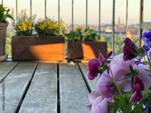 flowers in pots