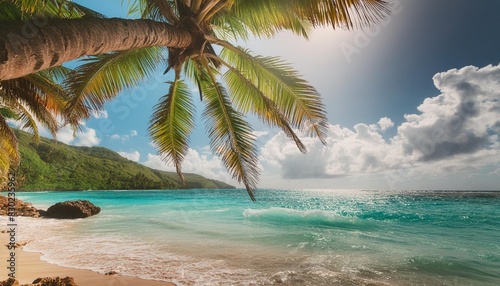 palm tree over the turquoise water of a tropical beach in guadeloupe