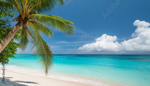 banner of idyllic tropical beach with white sand palm tree and turquoise blue ocean