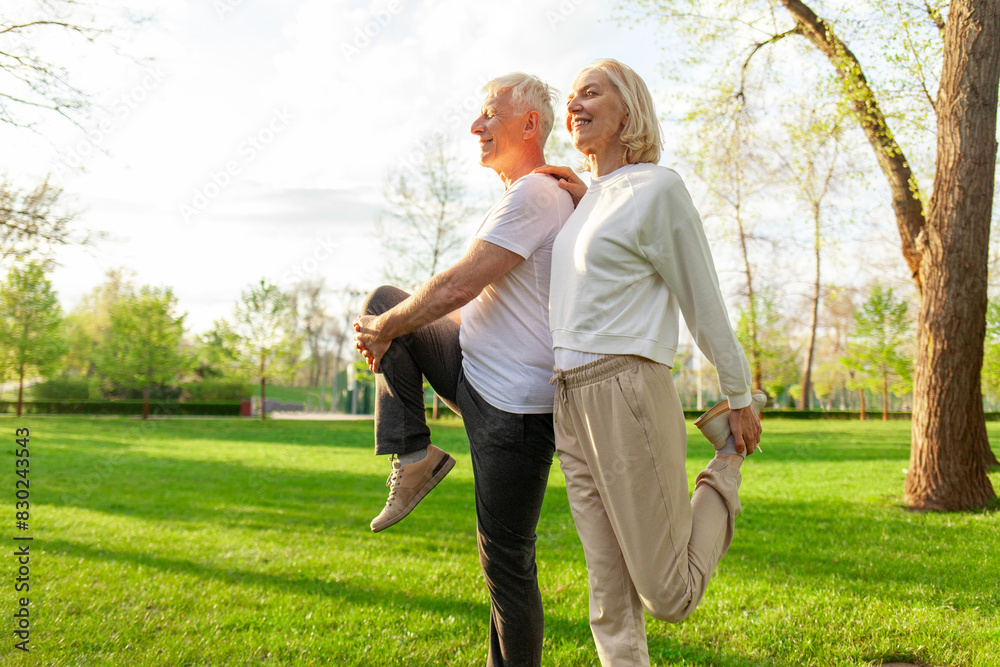 elderly couple of seniors man and woman doing exercises and training in the park outdoors, gray-haired grandparents playing sports and active lifestyle in nature elderly couple of seniors man and woman doing exercises and training in the park outdoors, gray-haired grandparents playing sports and active lifestyle in nature