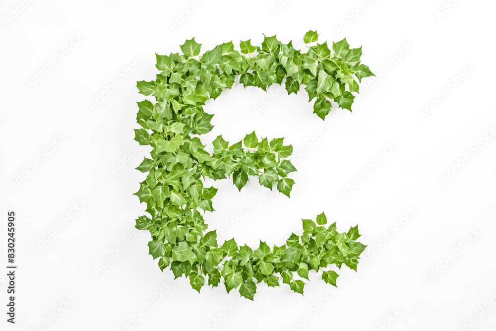 Letter E made of green leaves Letter E made of green leaves