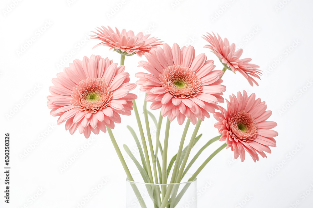 Pink Gerbera Daisies in a Glass Vase