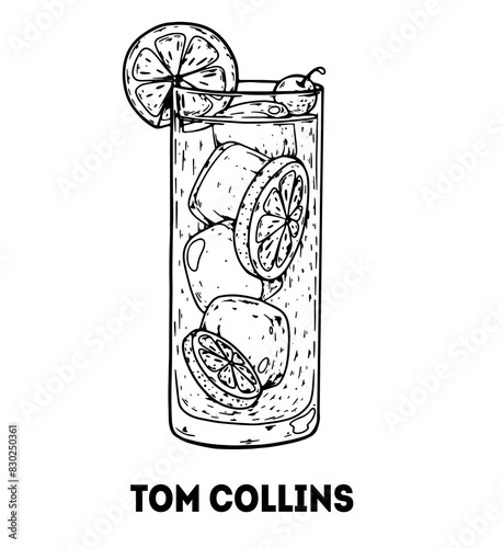 Tom Collins cocktail illustration. Hand drawn sketch. Vector illustration. Isolated object.