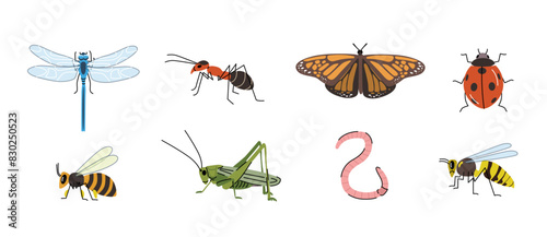 Garden insects cartoon set. Illustration of  dragonfly, ant, butterfly, ladybug, bee, grasshopper, worm, and wasp on a white background. Simple vector design for posters, stickers, and prints. 