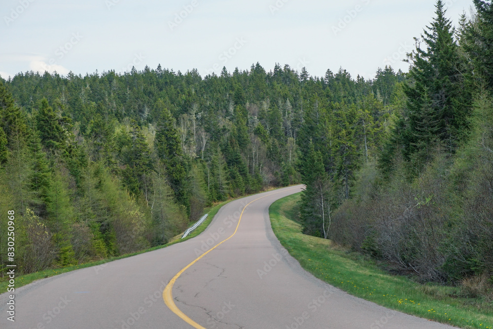 Country road in spring Country road in spring