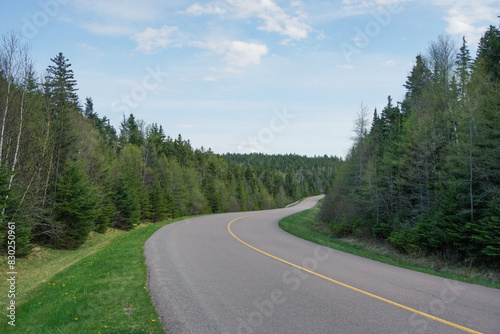 Country road in spring