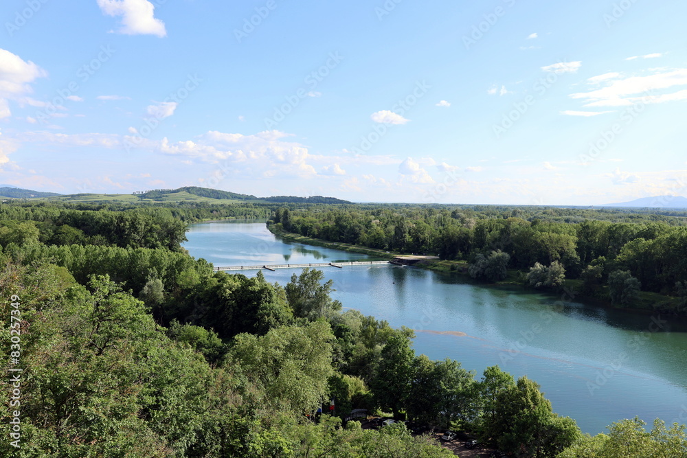 Der Rhein in Sasbach zwischen grünen Wäldern