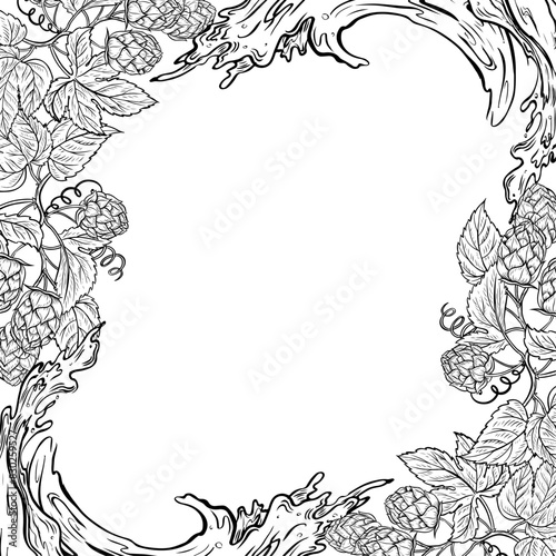 A border frame with sprigs of hops and a splash of beer. An ingredient for brewing. An illustration with black and white vector graphics drawn by hand. For labels, packages, and Oktoberfest posters.