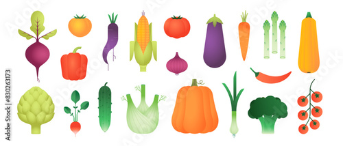 Vegetable set. Vector illustrations isolated on white background: tomato, pumpkin, cucumber, onion, beetroot, corn. Healthy natural vegan food collection. Organic products, veggies. Simple flat style