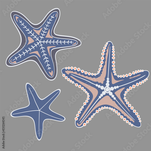 Starfish in cartoon style. Set. Marine icon. Summer vector illustration.
