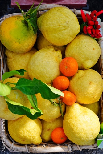 View of fresh Amalfi lemons on the Amalfi Coast in Italy © eqroy