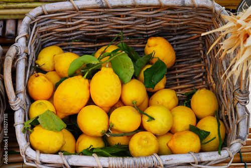View of fresh Amalfi lemons on the Amalfi Coast in Italy © eqroy