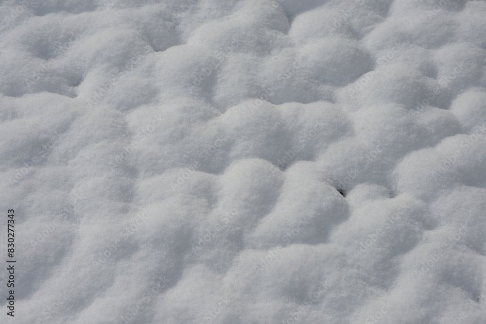 Fototapeta premium 雪の東福寺 境内の積雪 京都市東山区