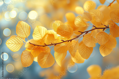 An artistic shot of quivering aspen leaves, with bokeh effects creating a dreamy and surreal quality to the image.