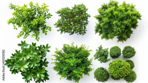 Top view of various green plants  Generative AI