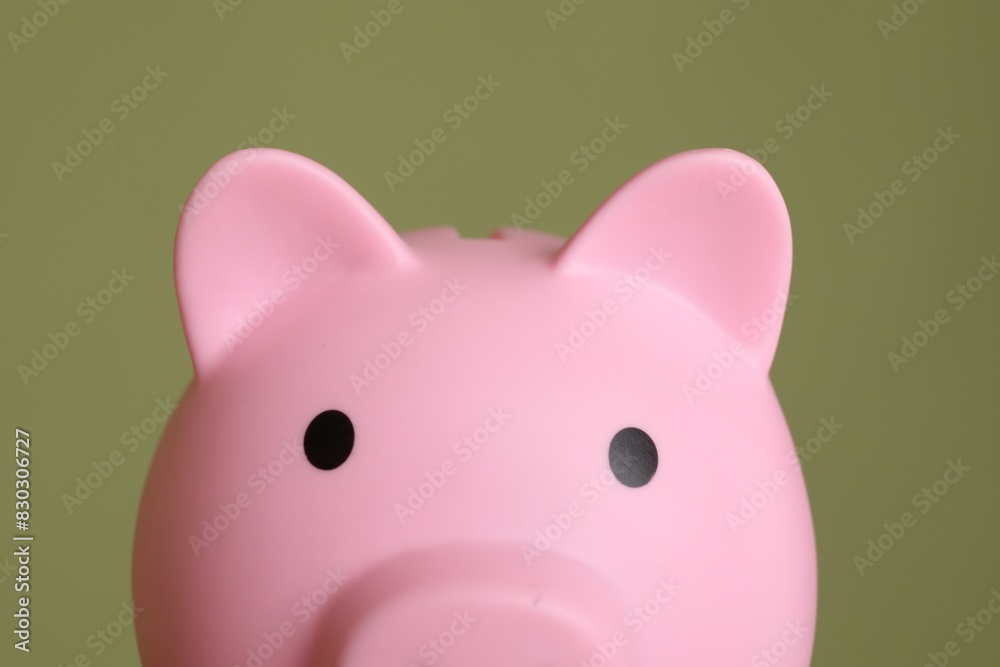 Pink piggy bank on olive background, closeup Pink piggy bank on olive background, closeup