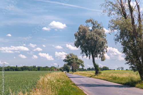 Obraz na płótnie Summer panoramic rural landscape of Żydowo village, Gmina Rokietnica, Poznań County, Greater Poland Voivodeship (Wielkopolska) w salonie