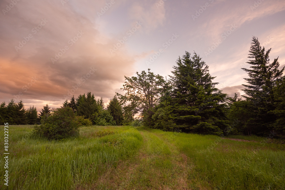 Sunset light and clouds over rural country field and trees Sunset light and clouds over rural country field and trees