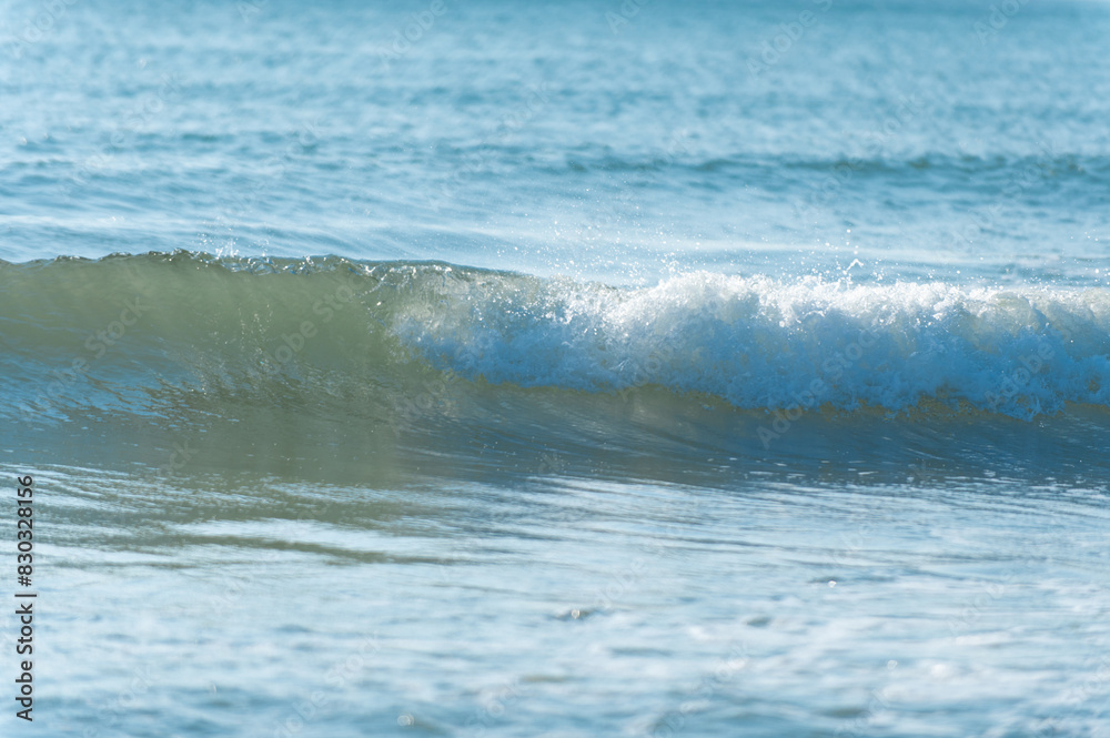 Fototapeta premium 砂浜と波