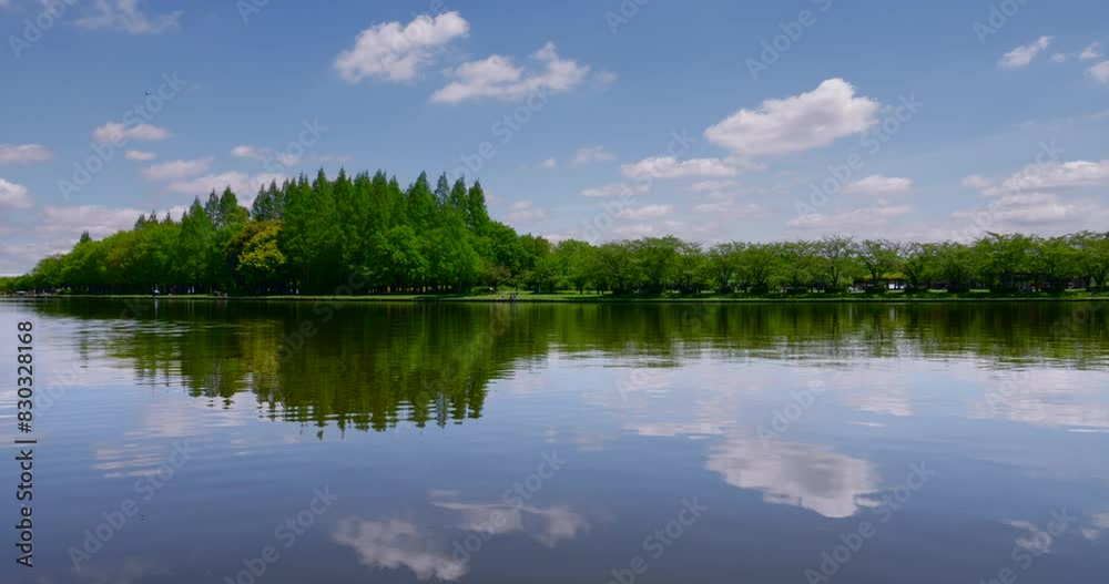 綺麗な水が流れる川と新緑の木