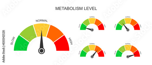 Set of metabolism meter dashboards with arrows. Different metabolic levels from slow to high. Charts of rate which body converts foods and drinks into energy. Vector flat illustration. photo