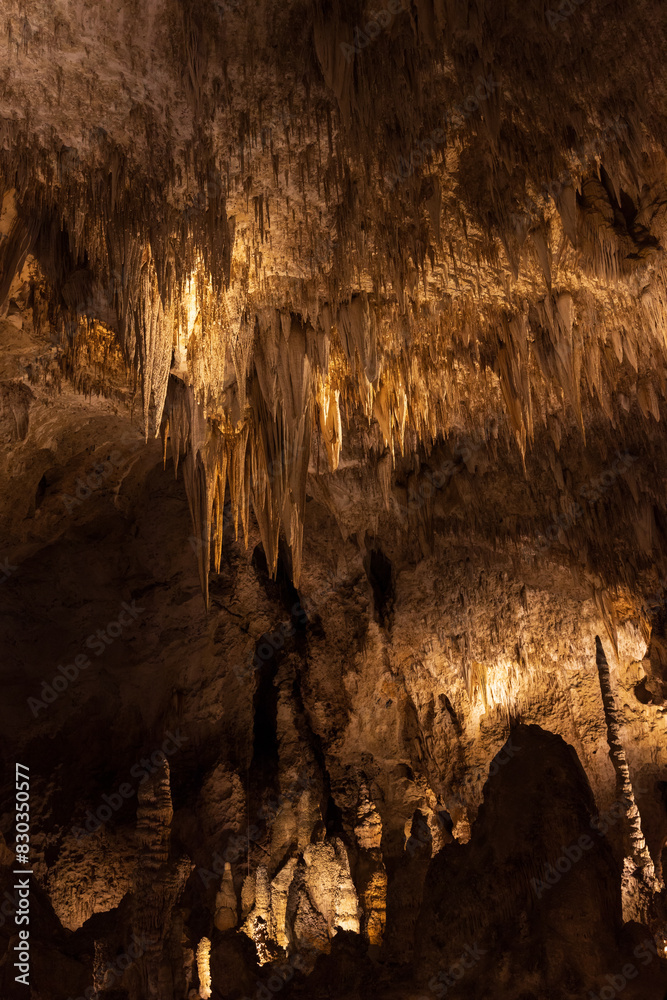 Rock formations in Carlsbad Caverns National Park, New Mexico
Rock formations in Carlsbad Caverns National Park, New Mexico