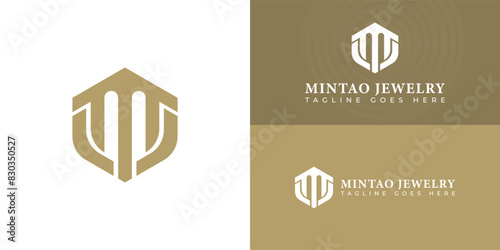 Abstract initial hexagon letter SV or VS logo in luxury gold color isolated on multiple background colors. The logo is suitable for jewelry and accessories website logo design inspiration templates.
