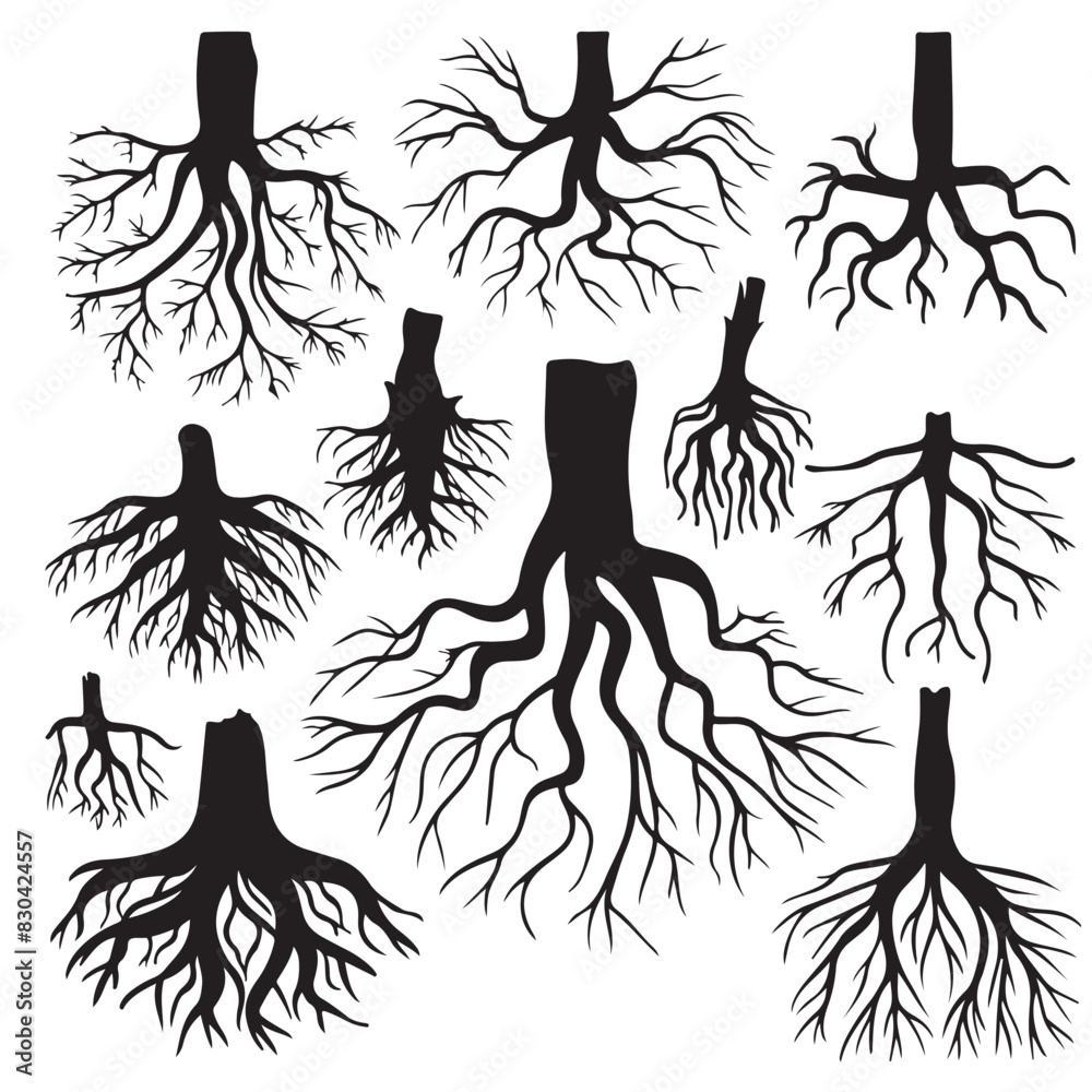 Collection of Tree Roots Silhouette Set Collection of Tree Roots Silhouette Set