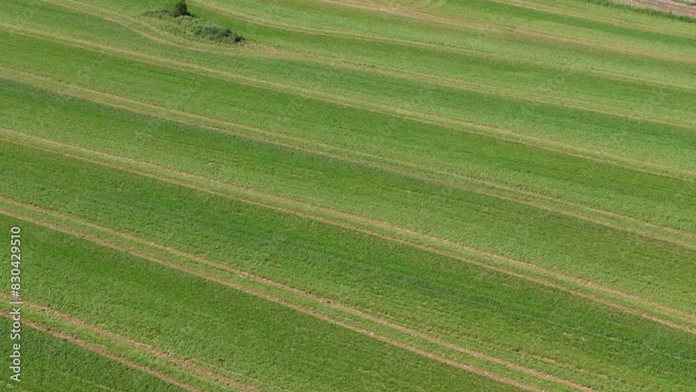 Rural Scene Of An Agricultural Landscape In Springtime. Aerial Shot Rural Scene Of An Agricultural Landscape In Springtime. Aerial Shot