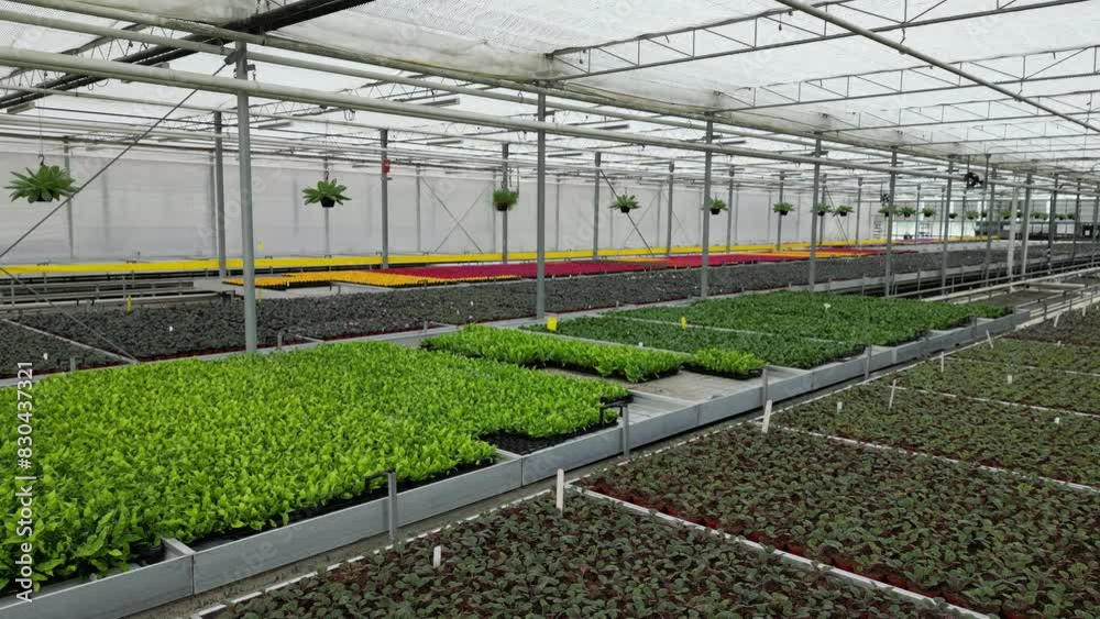 Drone Aerial Views of Greenhouses (Business Inside & Outside) in Southern Ontario Canada Drone Aerial Views of Greenhouses (Business Inside & Outside) in Southern Ontario Canada